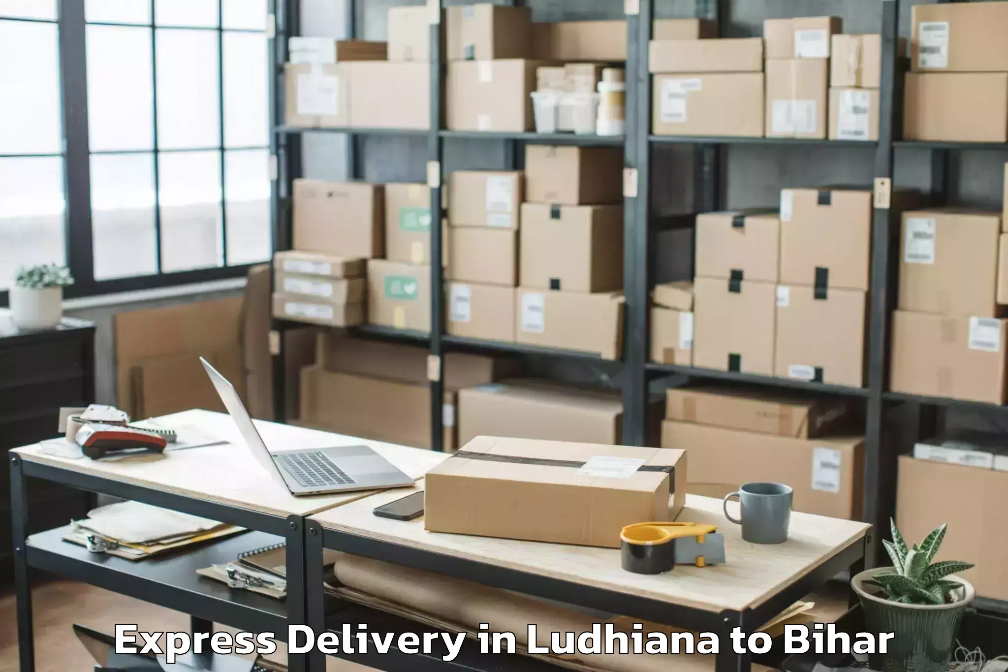 Professional Ludhiana to Lauriya Express Delivery